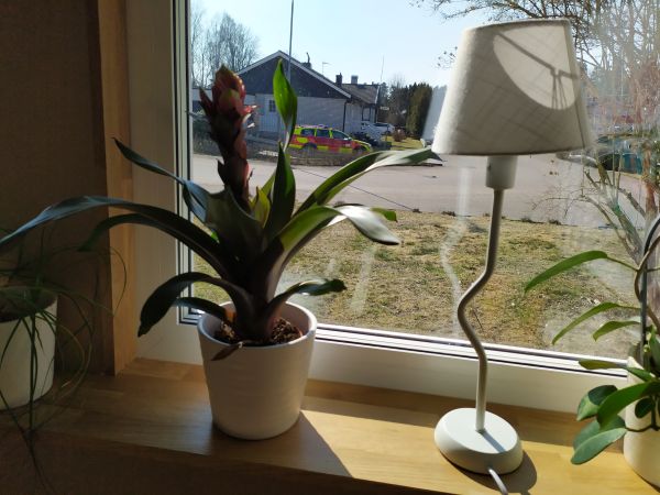 Fönster Ecoslim fast 1-luftsfönster