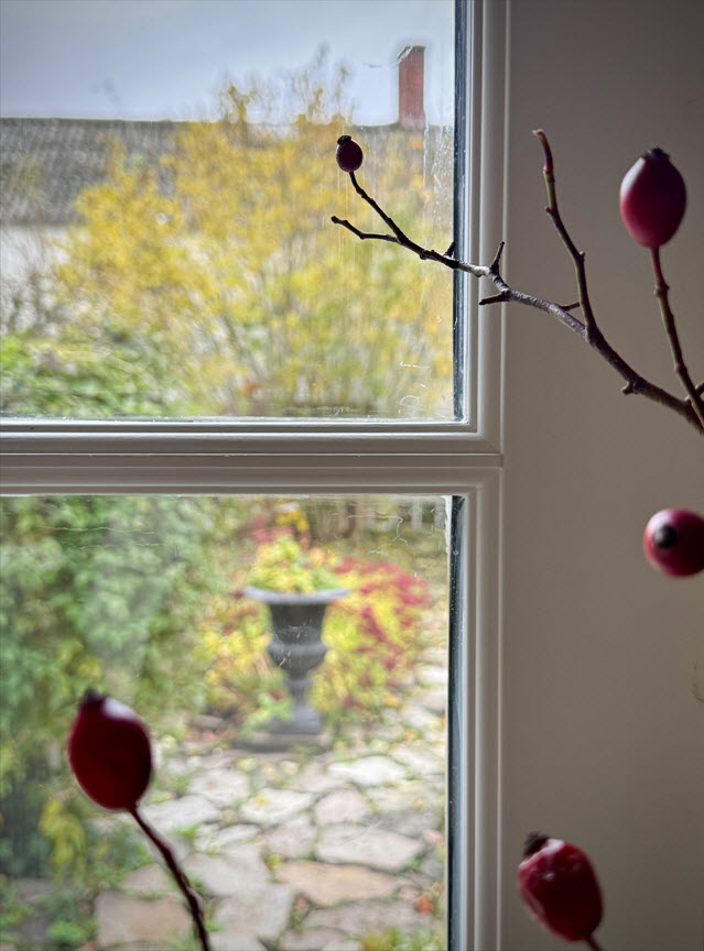 Fönsterdörr med vacker spröjs