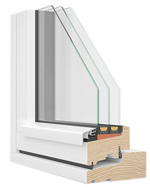 Träprofil i genomskärning